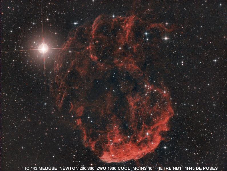 Ic 443 meduse